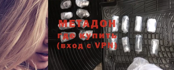 прущие грибы Балабаново