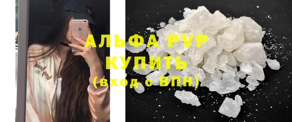 прущие грибы Балабаново