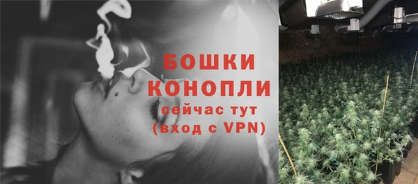 прущие грибы Балабаново