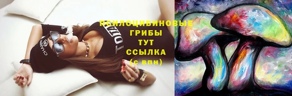гашик Балахна