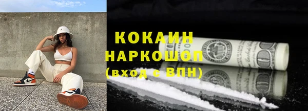 прущие грибы Балабаново