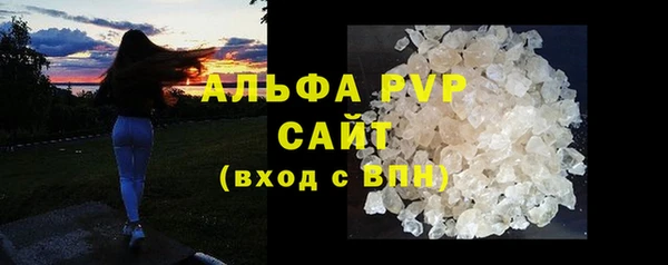 прущие грибы Балабаново