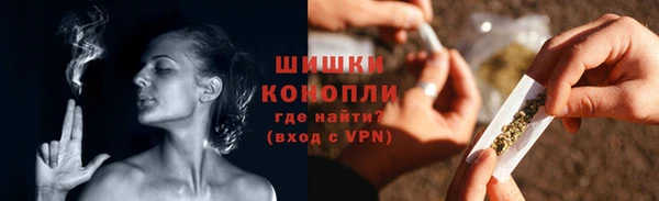 прущие грибы Балабаново