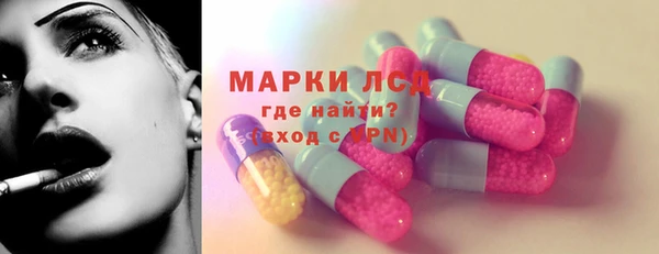 прущие грибы Балабаново