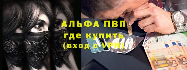 прущие грибы Балабаново