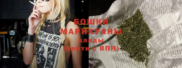 прущие грибы Балабаново