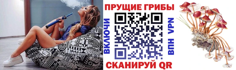 Галлюциногенные грибы ЛСД  блэк спрут   Северобайкальск  цена наркотик 